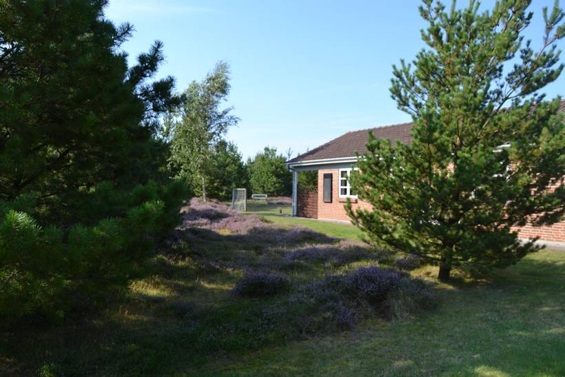Foto von Ferienhaus ED73 in Kongsmark - Rømø