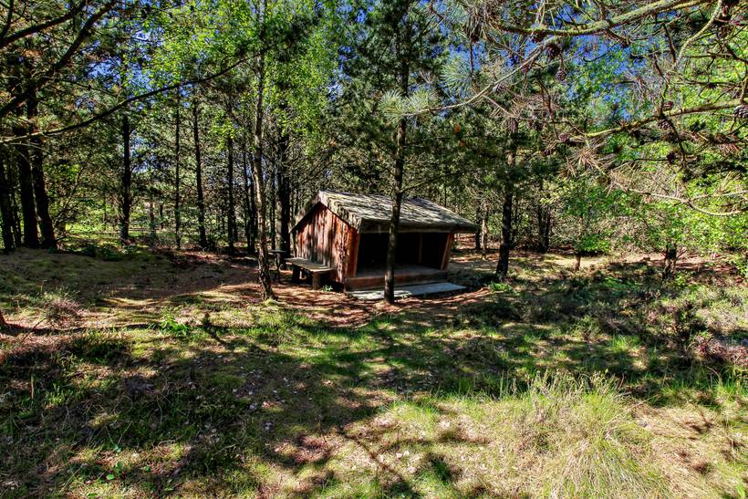 Foto von Ferienhaus ED73 in Kongsmark - Rømø