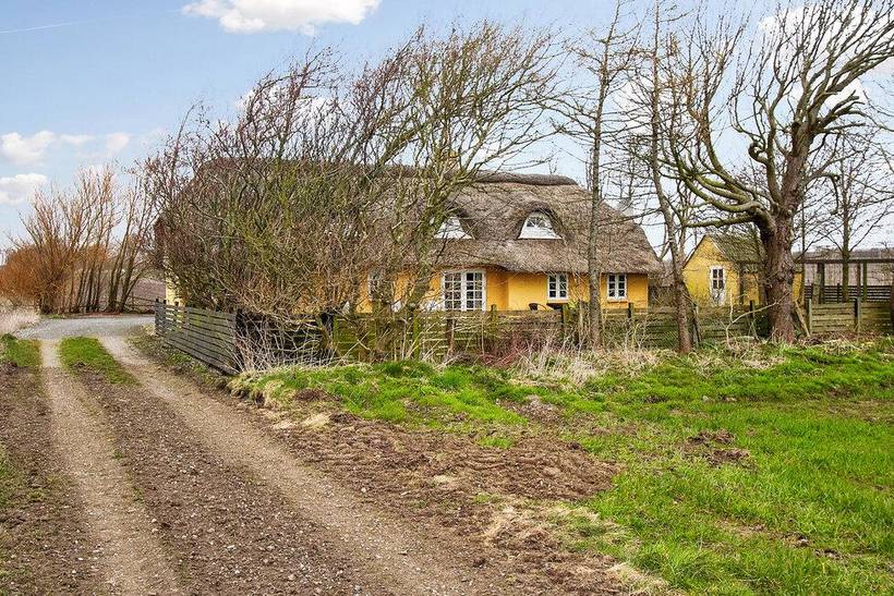 Foto von Ferienhaus EE14 in Tambohus - Thy/Limfjord
