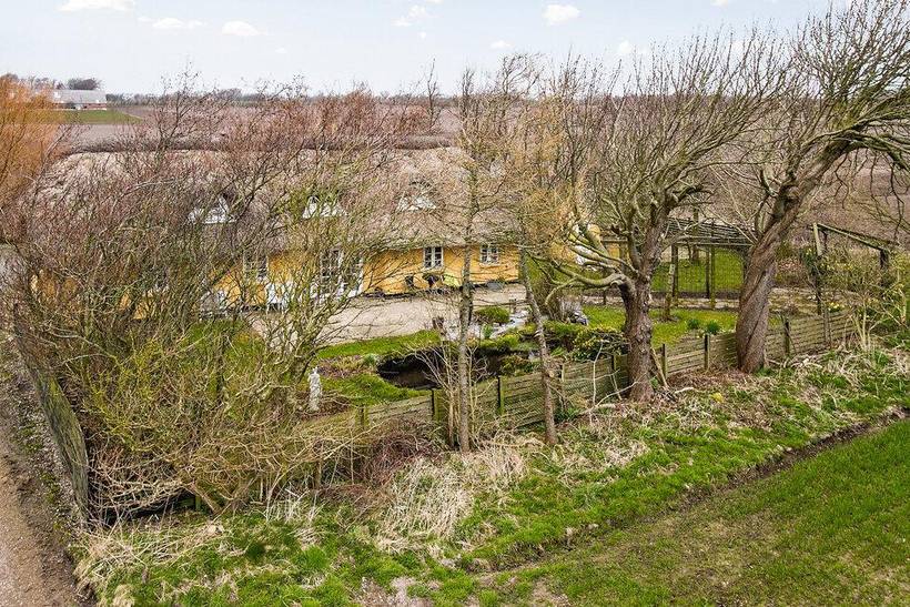 Foto von Ferienhaus EE14 in Tambohus - Thy/Limfjord