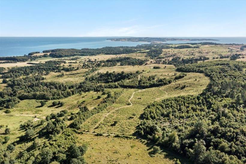 Foto von Ferienhaus EE52 in Ebeltoft - Ostjütland