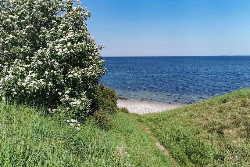 Foto von Ferienhaus EE63 in Sejerø Bugt - Westseeland