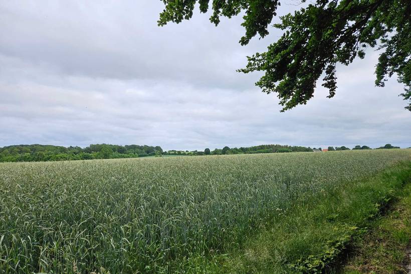 Foto von Ferienhaus EE74 in Hejlsminde - Südjütland