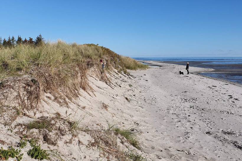 Foto von Ferienhaus EE80 in Hou - Nordjütland Ost