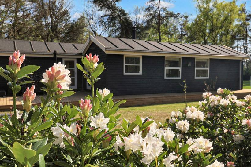 Foto von Ferienhaus EF26 in Als Odde - Helberskov - Nordjütland Ost