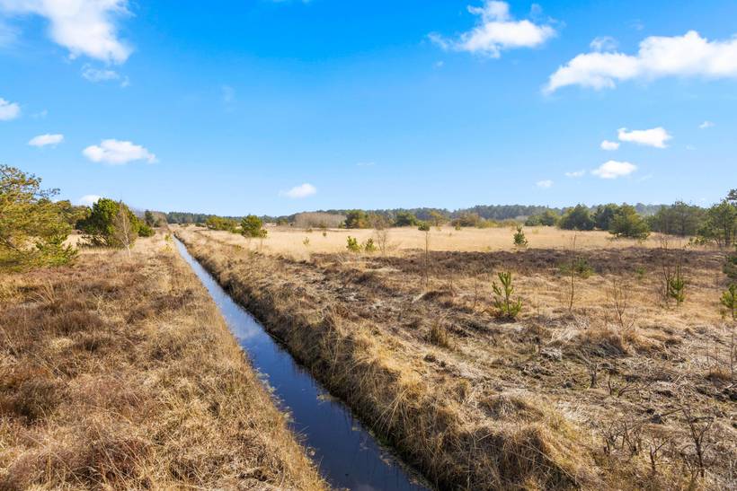Foto von Ferienhaus EF36 in Bolilmark - Rømø