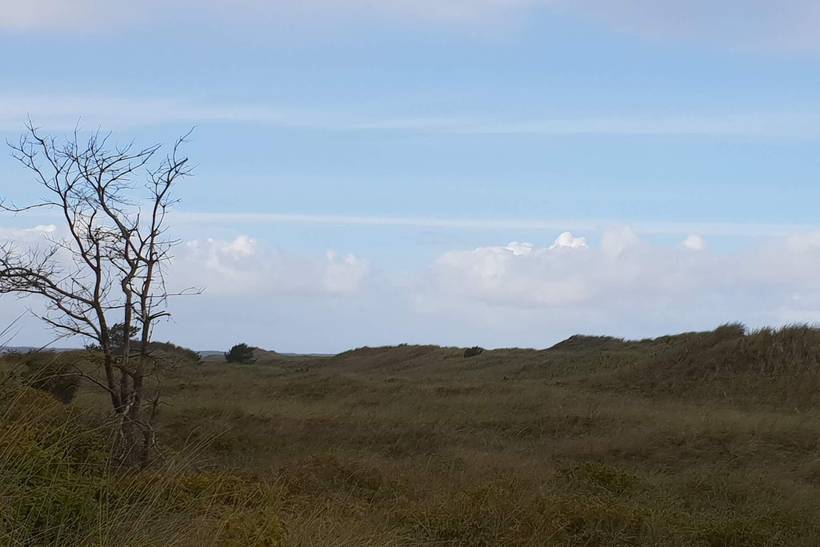 Foto von Ferienhaus EF73 in Bratten - Nordjütland Ost