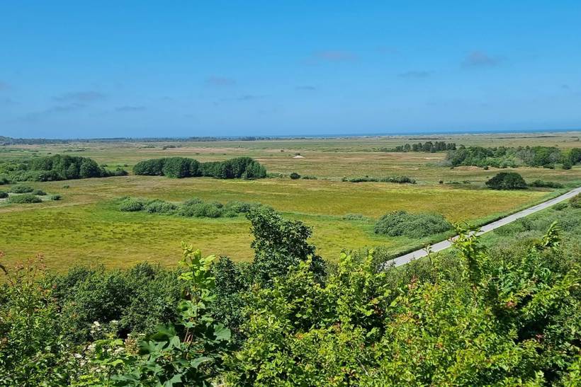 Foto von Ferienhaus EF80 in Tranum - Slettestrand - Nordjütland