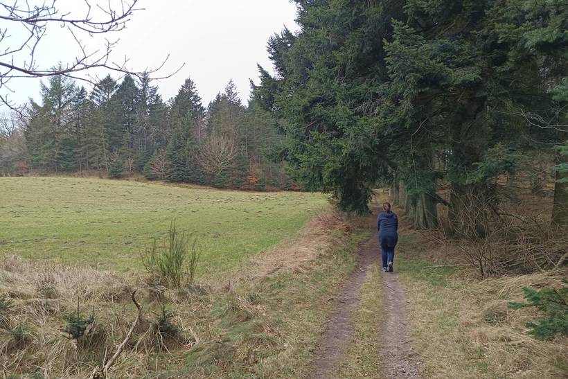 Foto von Ferienhaus EF80 in Tranum - Slettestrand - Nordjütland