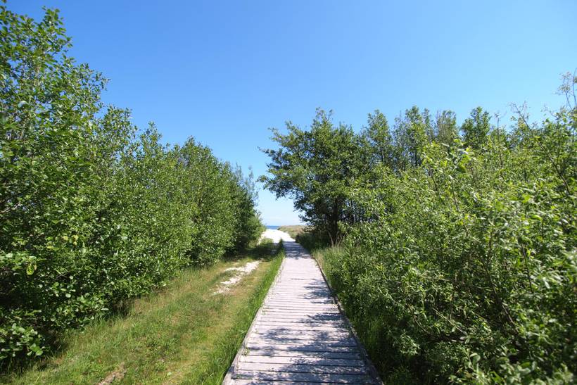 Foto von Ferienhaus EF97 in Dueodde - Bornholm
