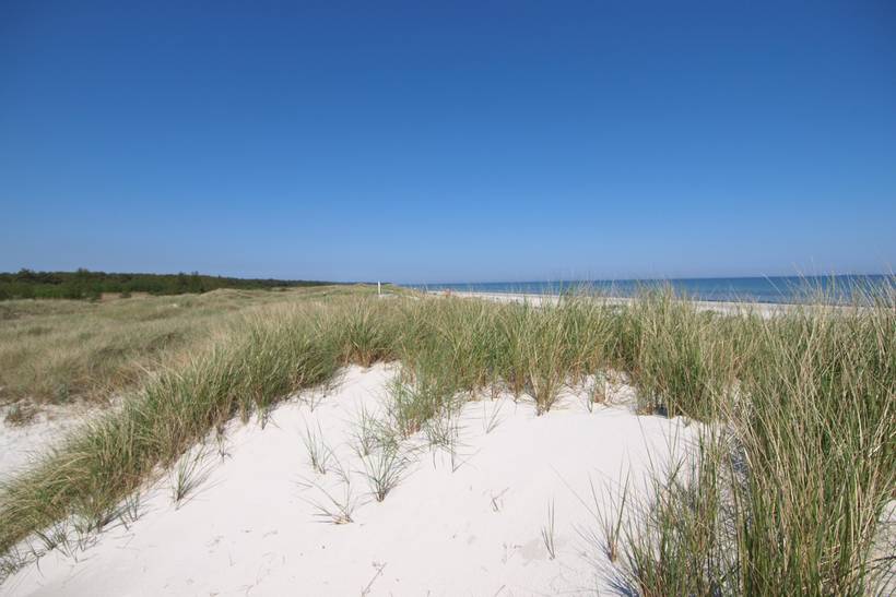 Foto von Ferienhaus EF97 in Dueodde - Bornholm