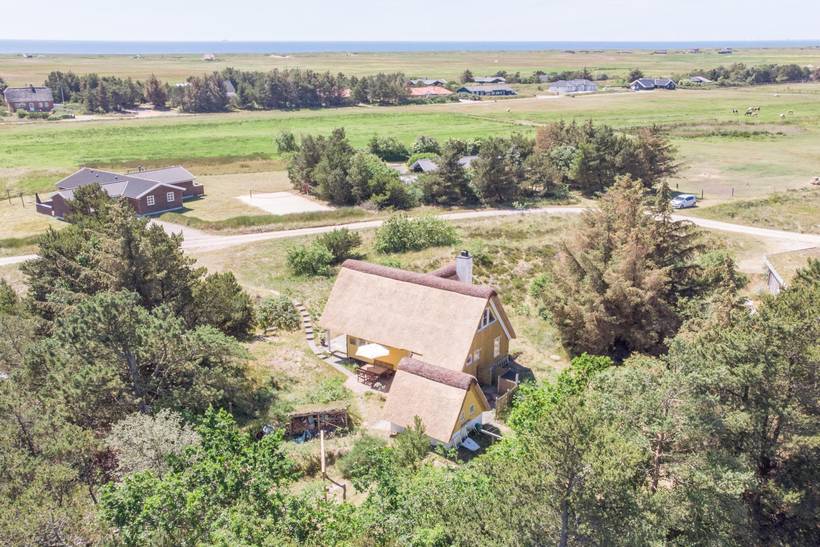 Foto von Ferienhaus EF98 in Blåvand - Westjütland