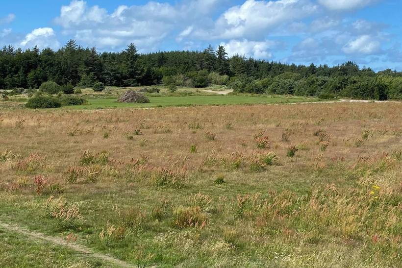 Foto von Ferienhaus EG08 in Grønhøj - Løkken - Nordjütland