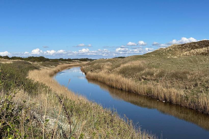 Foto von Ferienhaus EG31 in Henne Strand - Westjütland