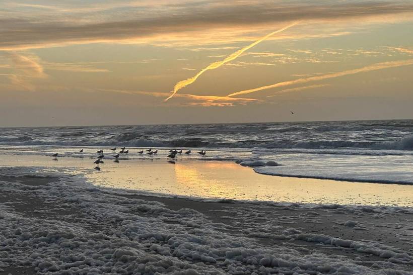 Foto von Ferienhaus EG31 in Henne Strand - Westjütland