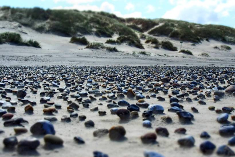 Foto von Ferienhaus EG31 in Henne Strand - Westjütland