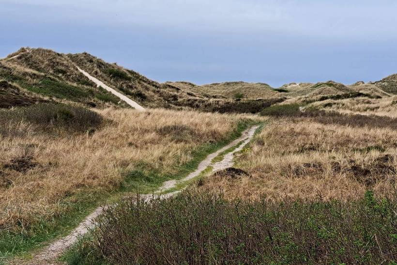 Foto von Ferienhaus EG31 in Henne Strand - Westjütland