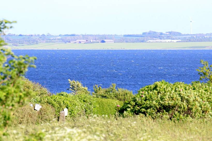 Foto von Ferienhaus EG50 in Skyum - Thy/Limfjord