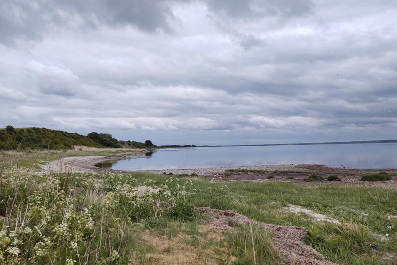 Foto von Ferienhaus EG50 in Skyum - Thy/Limfjord