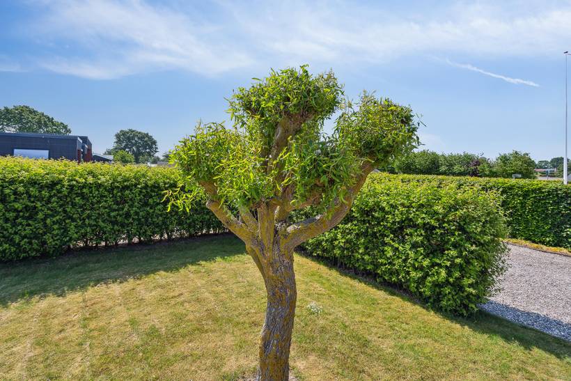 Foto von Ferienhaus EG55 in Flovt - Südjütland