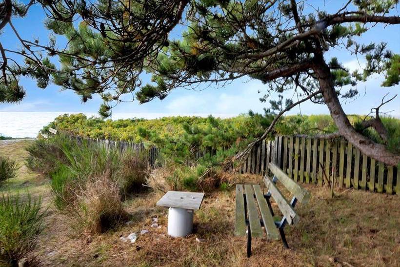 Foto von Ferienhaus EH67 in Sjællands Odde - Westseeland