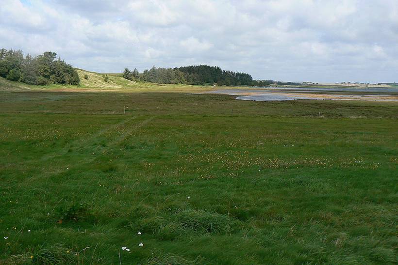 Foto von Ferienhaus EH76 auf Mors - Thy/Limfjord