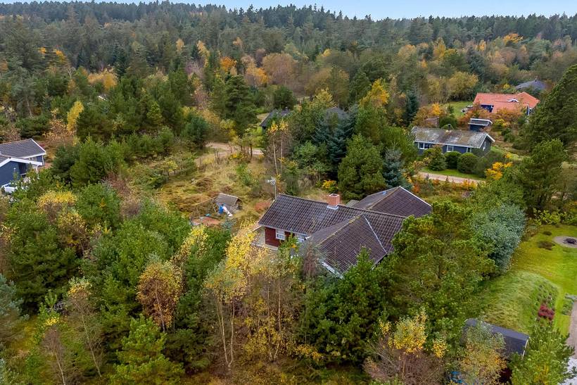 Foto von Ferienhaus EI02 in Thorup - Nordjütland