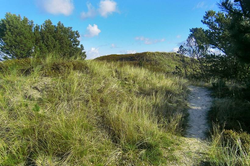 Foto von Ferienhaus EI46 in Bunken - Ålbæk - Nordjütland Ost