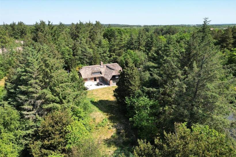 Foto von Ferienhaus EJ96 in Vester Husby - Westjütland