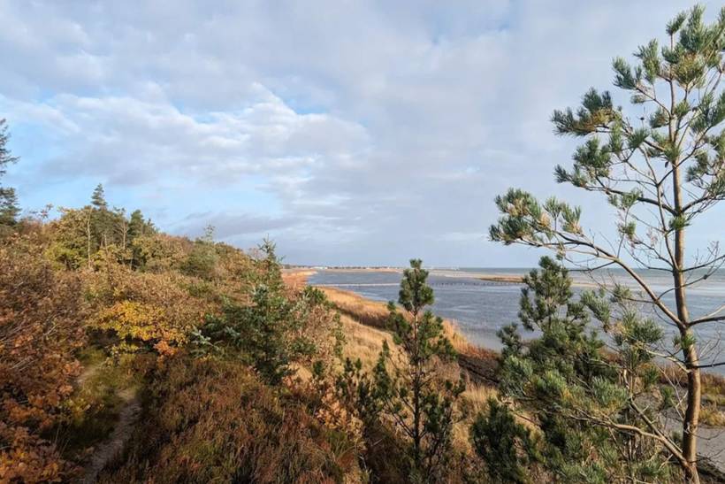 Foto von Ferienhaus EK24 in Øster Hurup - Nordjütland Ost