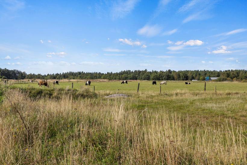 Foto von Ferienhaus EK25 in Kromose - Rømø