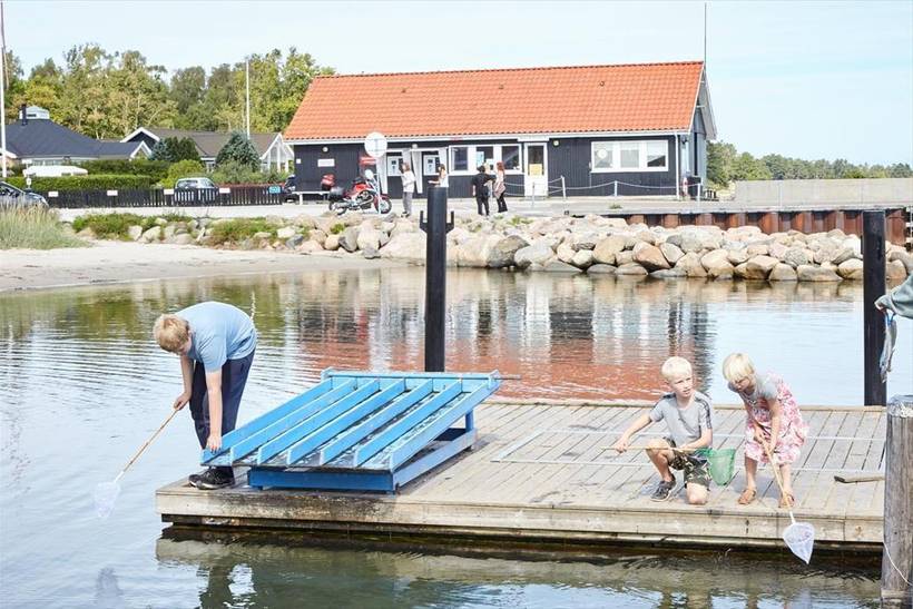 Foto von Ferienhaus EK58 in Strandsiden - Rørvig - Westseeland