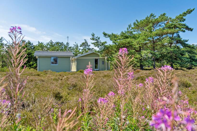Foto von Ferienhaus EK64 in Østerby - Læsø