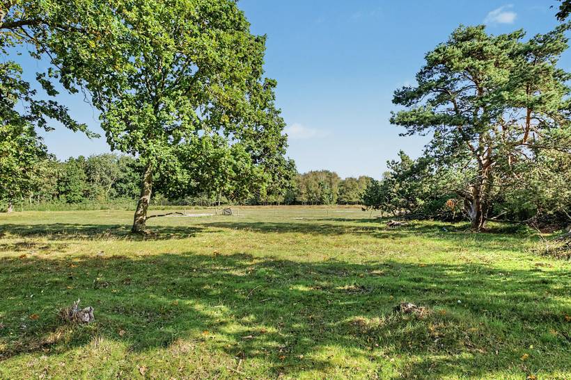 Foto von Ferienhaus EL00 in Ristinge - Langeland