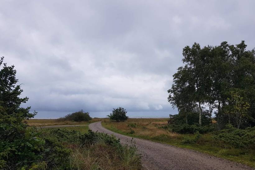 Foto von Ferienhaus EL05 in Als Odde - Helberskov - Nordjütland Ost
