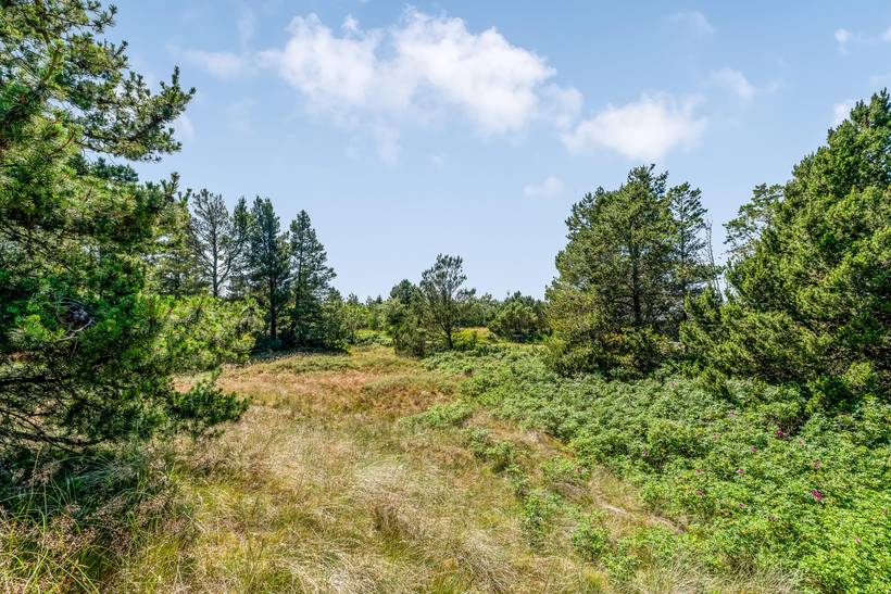Foto von Ferienhaus EL35 in Tversted - Nordjütland
