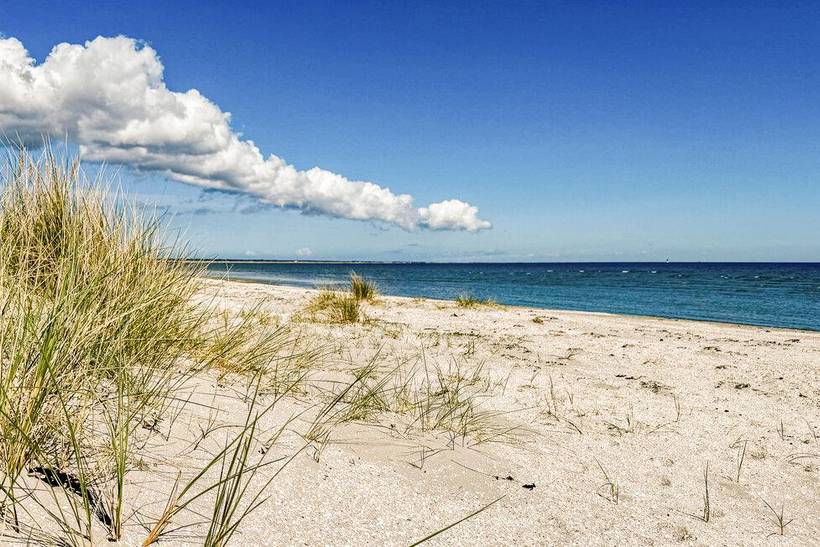 Foto von Ferienhaus EL59 in Ålbæk - Nordjütland Ost