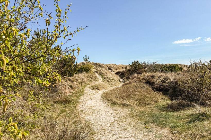 Foto von Ferienhaus EL59 in Ålbæk - Nordjütland Ost