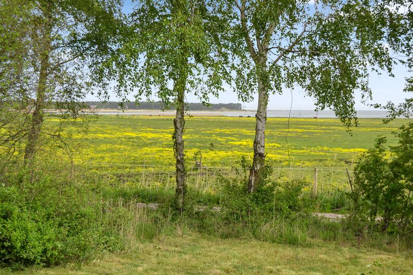 Foto von Ferienhaus EM86 in Havneby - Rømø