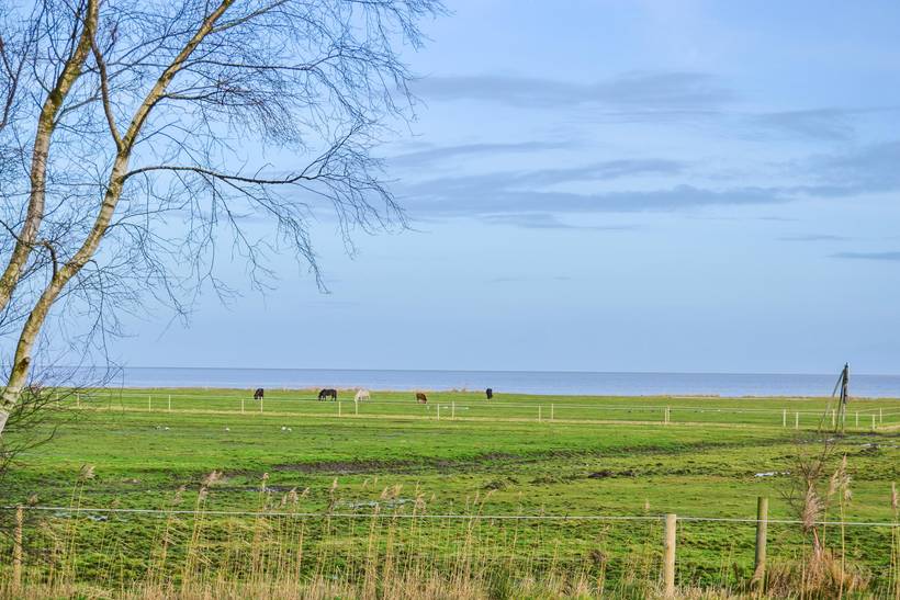 Foto von Ferienhaus EM86 in Havneby - Rømø