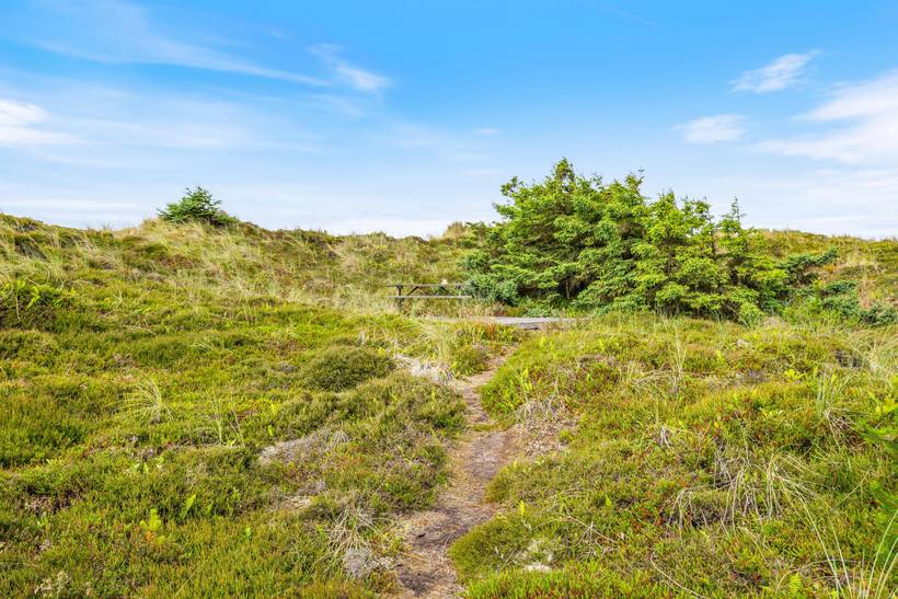 Foto von Ferienhaus EN29 in Houvig - Søndervig - Westjütland