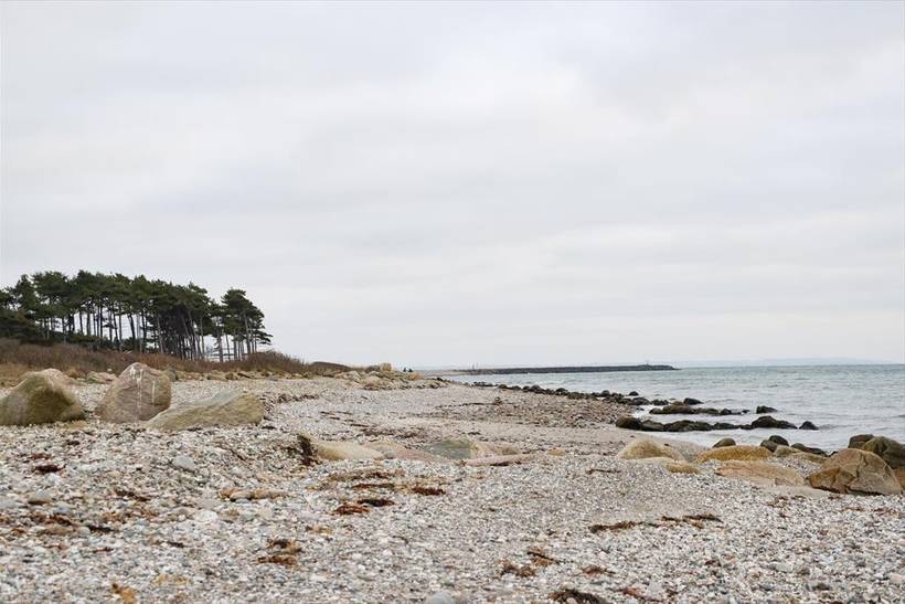 Foto von Ferienhaus EN72 in Sjællands Odde - Westseeland