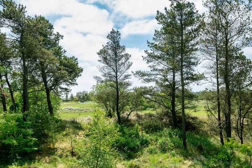 Foto von Ferienhaus EN99 in Mosevrå - Blåvand - Westjütland