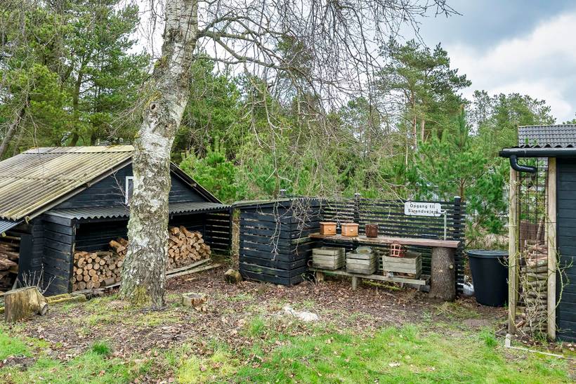 Foto von Ferienhaus EN99 in Mosevrå - Blåvand - Westjütland
