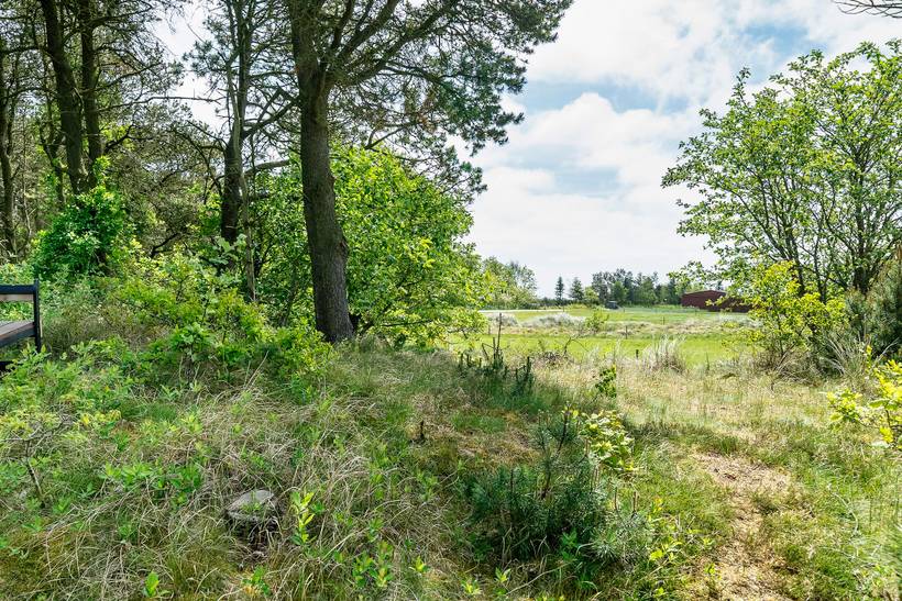 Foto von Ferienhaus EN99 in Mosevrå - Blåvand - Westjütland
