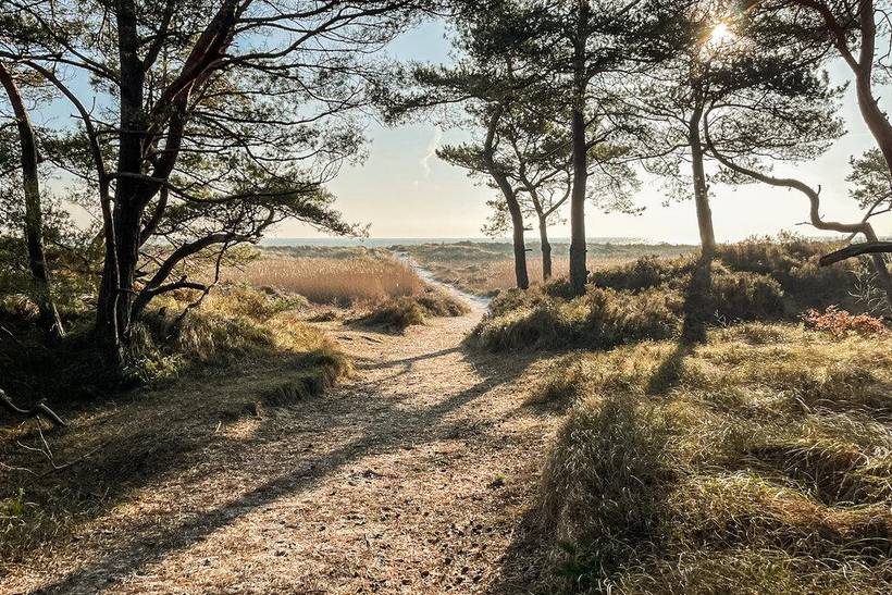 Foto von Ferienhaus EO07 in Dueodde - Bornholm