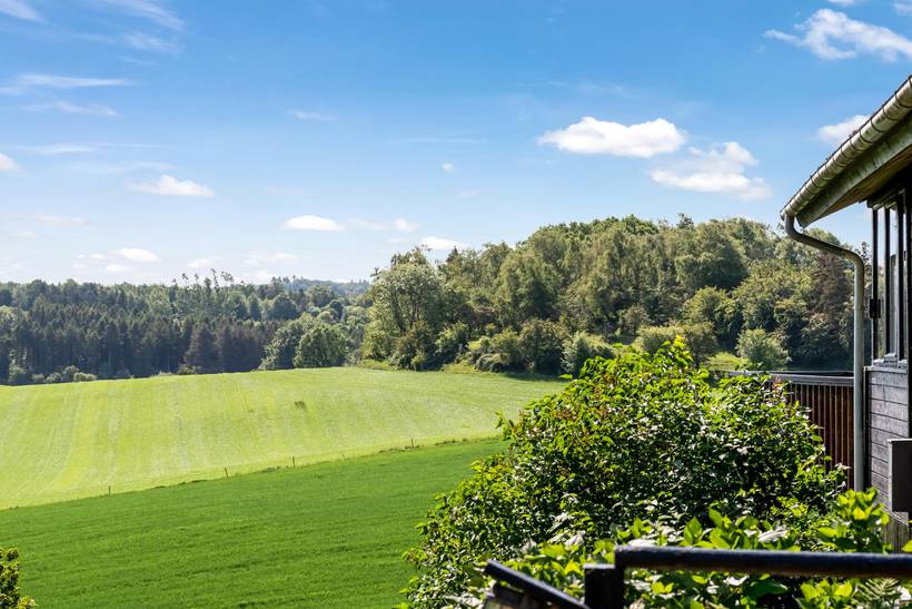 Foto von Ferienhaus EP04 in Hjarbæk - Thy/Limfjord