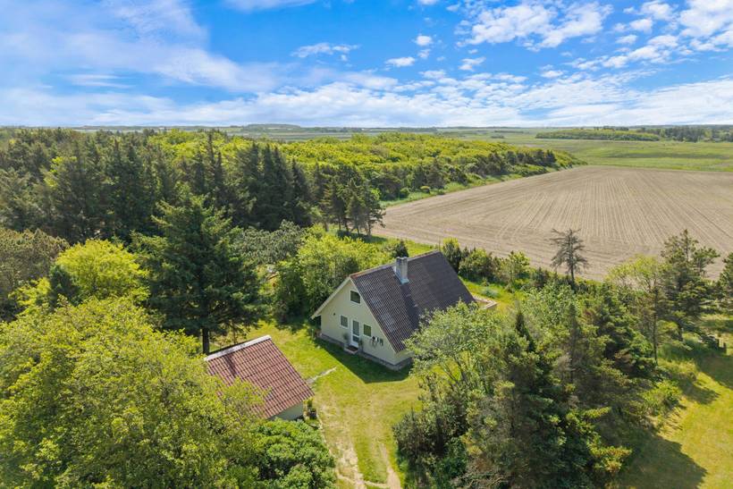 Foto von Ferienhaus EP13 in Lodbjerg Hede - Søndervig - Westjütland