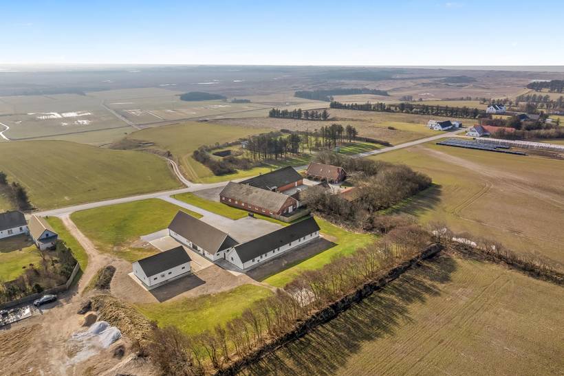Foto von Ferienhaus EP22 in Hanstholm - Thy/Limfjord
