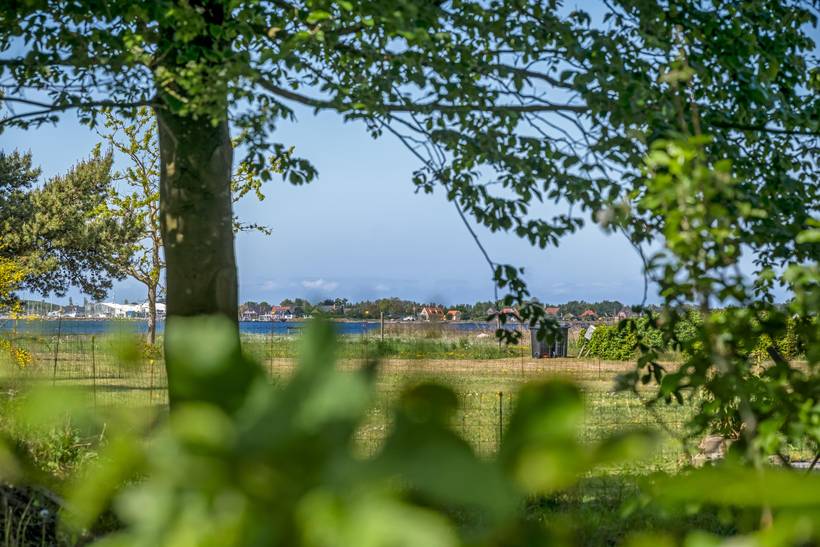 Foto von Ferienhaus EP88 auf Dalby - Westseeland